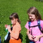 Sonniges Seifenkistenrennen